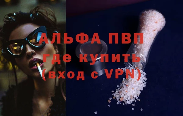 эйфоретик Инсар