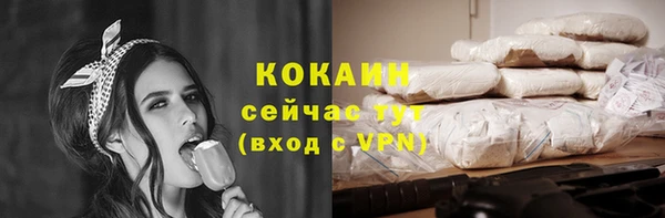 хмурый Инта