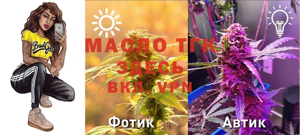 эйфоретик Инсар