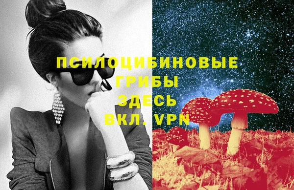 хмурый Инта