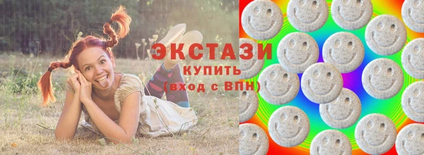 хмурый Инта