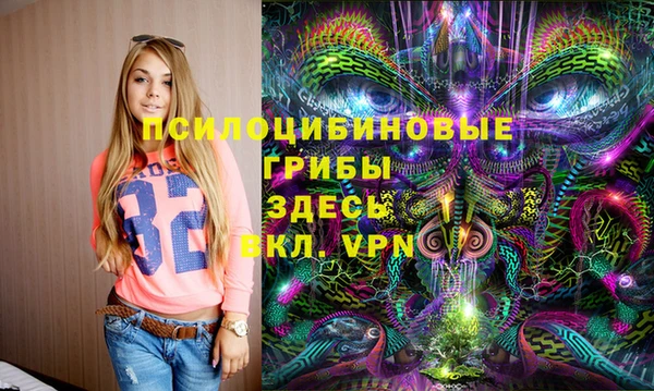эйфоретик Инсар