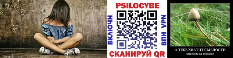 Галлюциногенные грибы GOLDEN TEACHER  Купить  Гай 